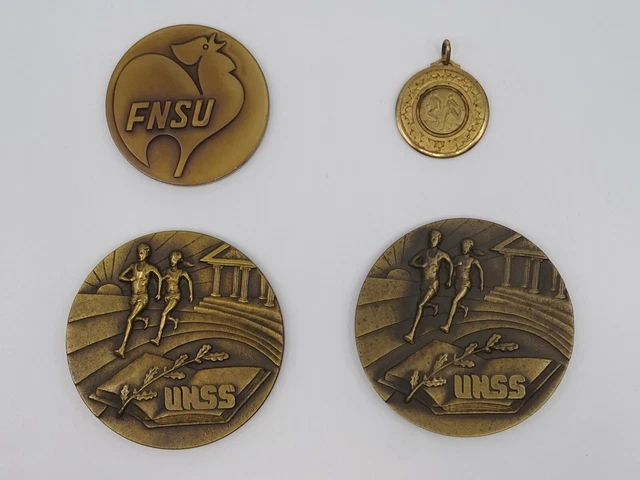 Pin's boutonnière, Officier de l'Ordre des Palmes Académiques