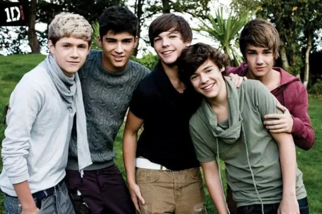 One Direction : Garden - Maxi Poster 61cm x 91,5cm neu und versiegelt