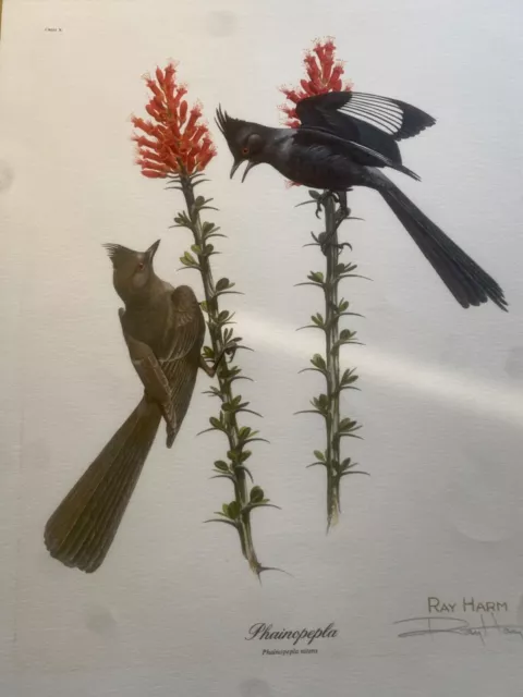 RAY HARM Lithograph PHAINOPEPLA Signed w/Folder/& paperwork-Crest X RAY HARM Lithograph PHAINOPEPLA Signed w/Folder/& paperwork-Crest X