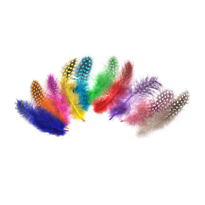 50 piezas perla multicolor pollo perla plumas hágalo usted mismo decoraciones WGSPDEGUDE TA