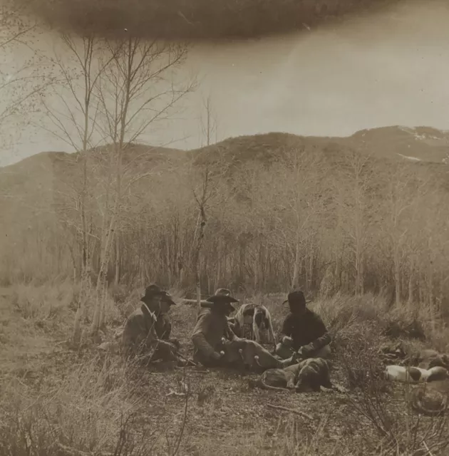 Hunters & Dogs at Rest Amateur Stereoview c1900