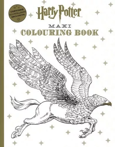 Libro Harry Potter Maxi Colouring Book - J.k. Rowling