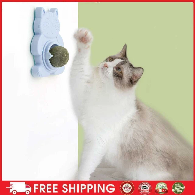 Spinning Cat Toys denti molari stick-on erba gatta snack prodotti per animali domestici (blu)