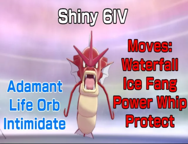 SHINY ZEKROM ✨ BATTLE READY / UNTOUCHED ⚡ 6IV + EV ⚡ Pokemon Sword & Shield