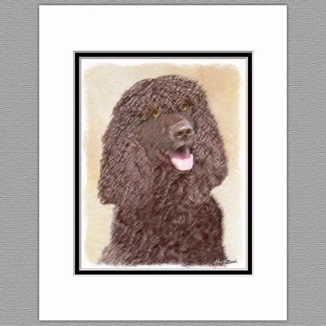 Irish Water Spaniel Dog Original Art Print 8x10 Matted to 11x14