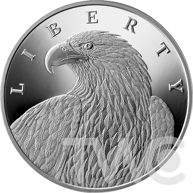 Libertu Coin Steve Rvan LIBERTY EAGLE 1 oz Proof Silver Coin 0.00001 Bitcoin UCS 2023 EUR 97,73 ...