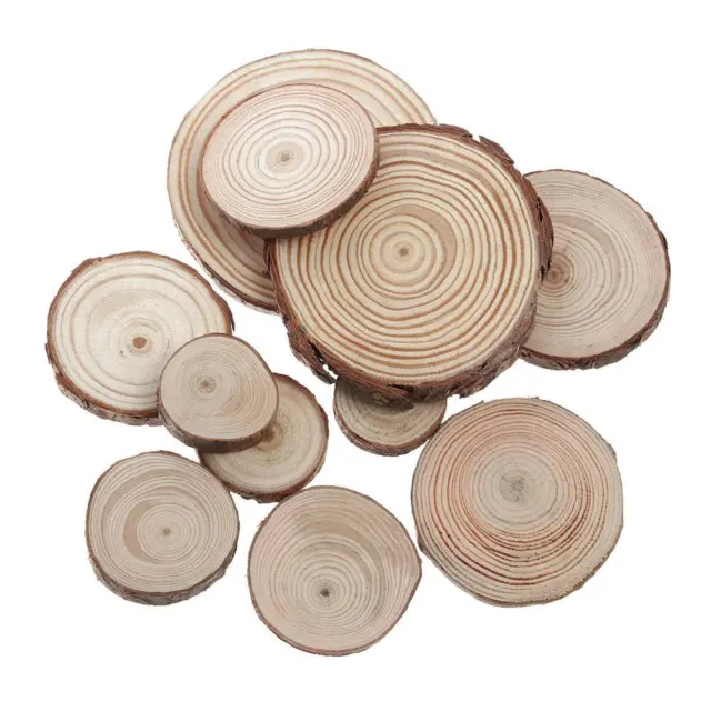 DIY Painting Tree Bark Log Natural Pine Wood Slices Wooden Circles Round