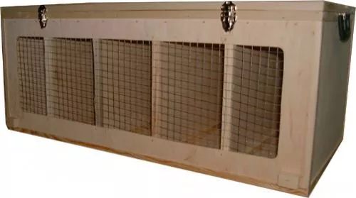 Transportkiste Transportbox für mittelgroße Hühnerrassen 100 x 50 x 40 Nr.01055