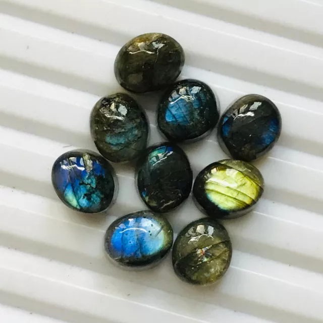 12x15mm Multi Colour Labradorite Cabochon Loose Gemstone - 10 Pcs Loose Gems