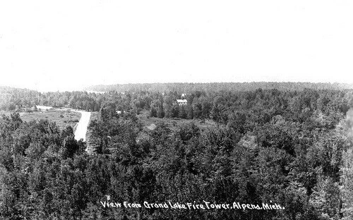 Birds Eye View From Grand Lake Fire Tower Alpena Michigan MI Reprint Postcard