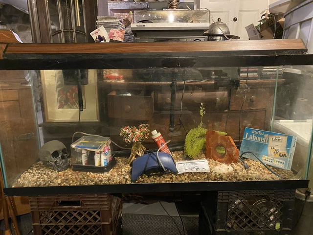55 gallon fish tank