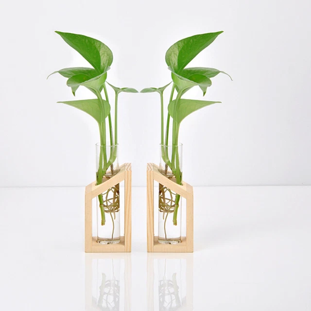 Vaso Geometrico In Vetro E Metallo Nero 22 Cm - Portafiori Moderno Per Idroponica, Decorazione Da Scrivania Per Casa, Ufficio, Matrimonio - Regalo Elegante
