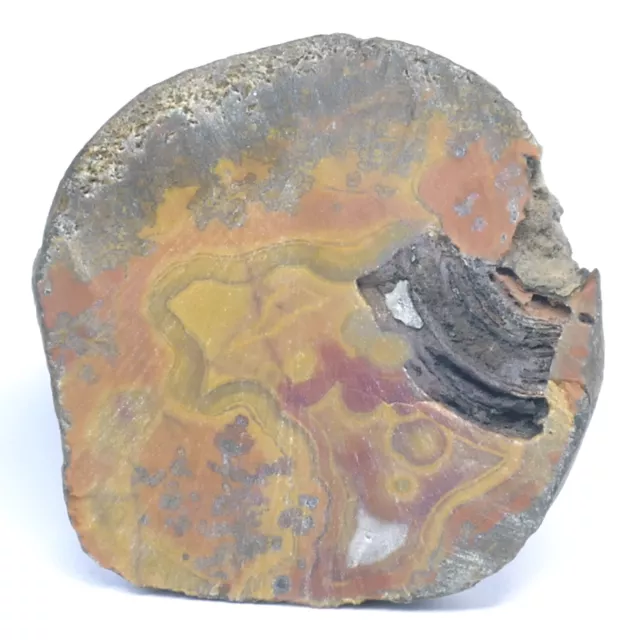 Kleine SURYA - ACHAT - Scheibe  Rohschnitt ca. 59 x 57 x 10mm orange gelb 2302
