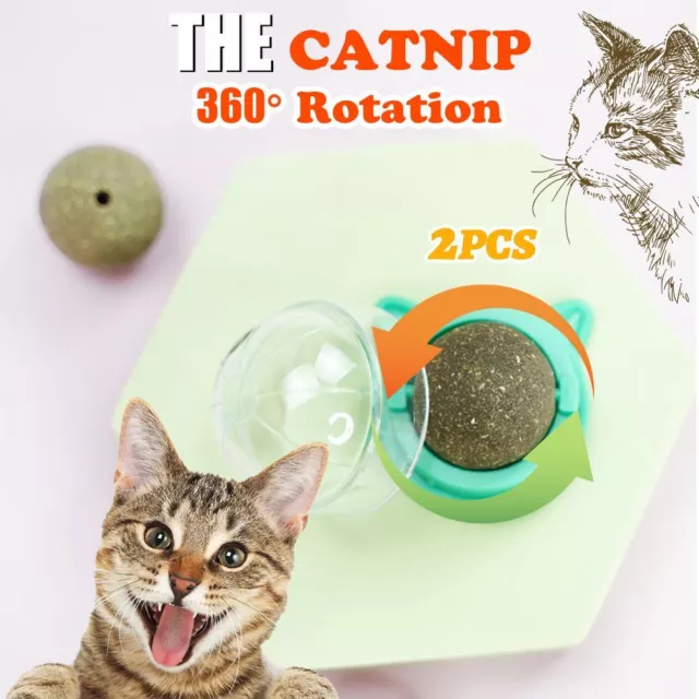 Supplies Teeth Cleaning Pet Stuff Catnip Balls Interactive Cat Mint Rotatable