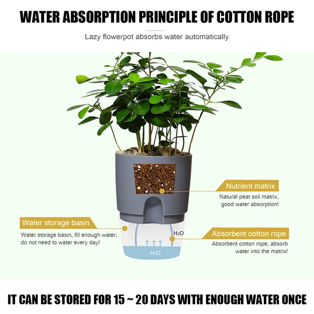 Watering Planter Self Watering Flower Pot Water Storage Basin (8.2cm) 4