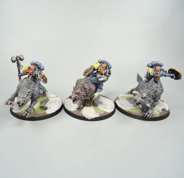 Warhammer 40k Army Space Marines Space Wolves Thunderwolf Cavalry Painted