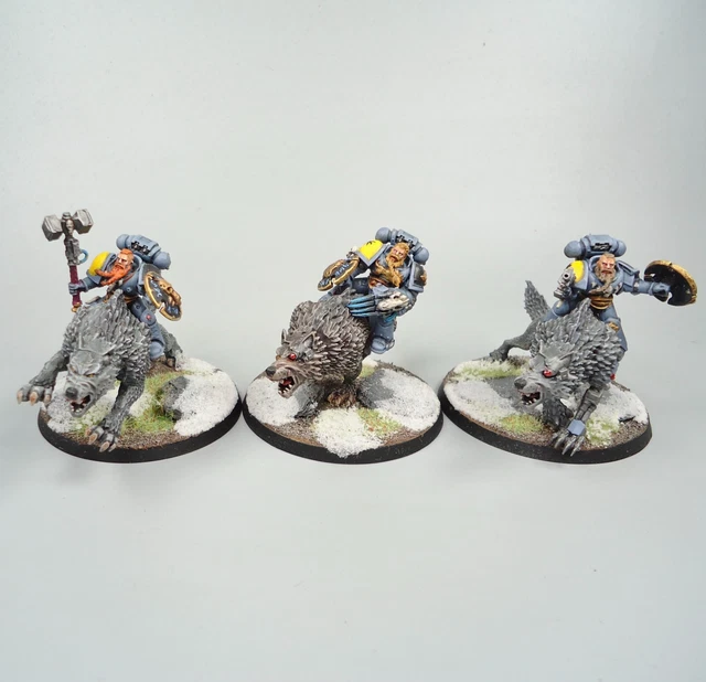 Warhammer 40k Army Space Marines Space Wolves Thunderwolf Cavalry Painted Warhammer 40k Army Space Marines Space Wolves Thunderwolf Cavalry Painted
