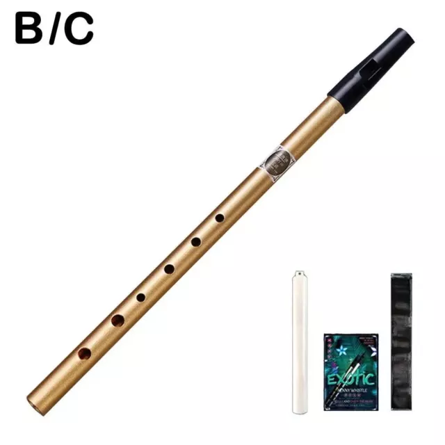 6 Hole Flute C/D Key Irish Whistle Ireland Tin Penny Whistle Flute Instrument UK