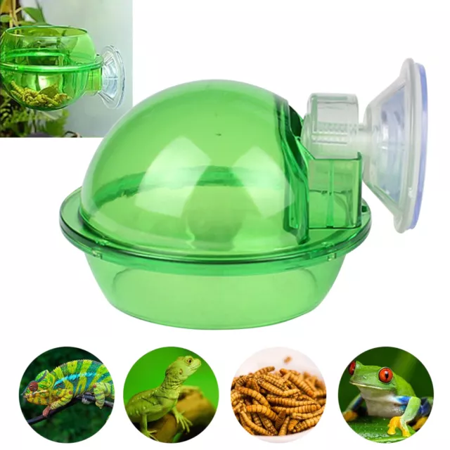 Reptile Food Bowl With Suction Cup Portable Turtle Pet Supply Home Water Feeder