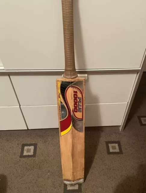 CA Plus Cricket Bat