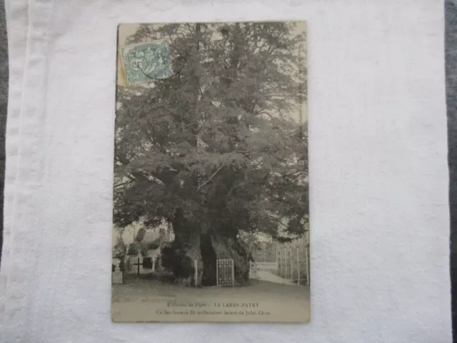 Cpa Orne 61 Environs De Flers La Lande Patry If Datant De Jules Cesar