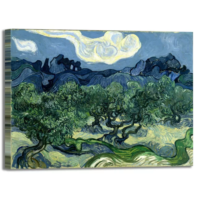 Van Gogh alberi di olive 2 design quadro stampa tela dipinto telaio arredo casa