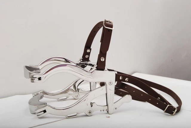 Hausman SE Spéculum dentaire équin en acier inoxydable avec sangle lavable...