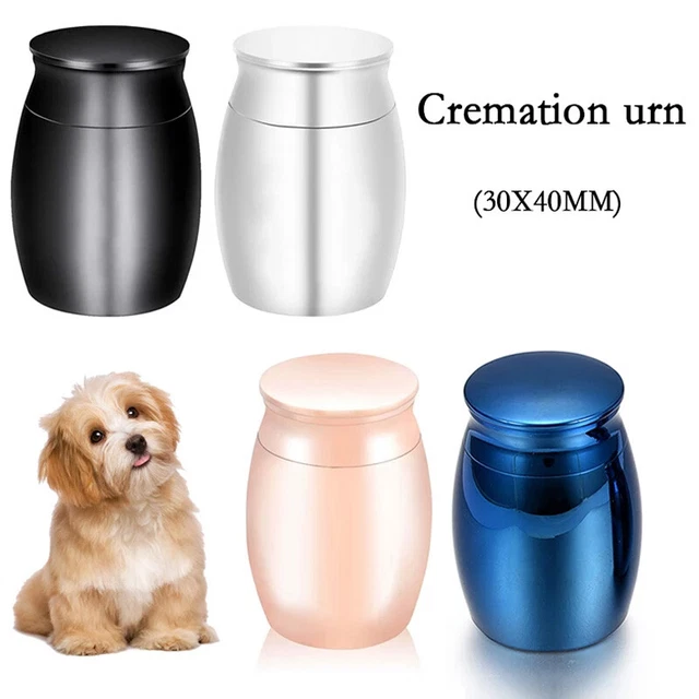 Small Silver Urn for Ashes Cremation Keepsake Urn Funeral for Pet or Human Ashes