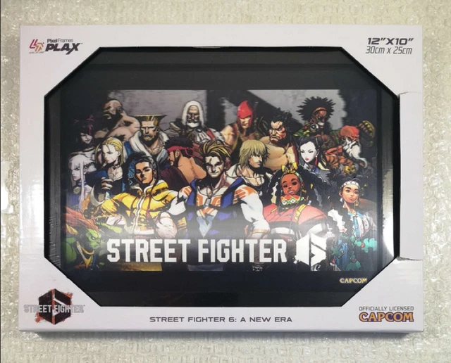 PIXEL FRAMES STREET FIGHTER II: THE WORLD WARRIORS (25CM X