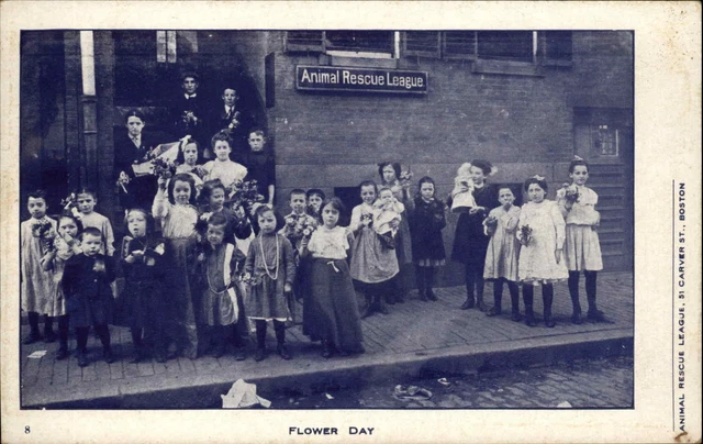Boston MA Animal Rescue League Humane Society Kids Flower Day Postcard