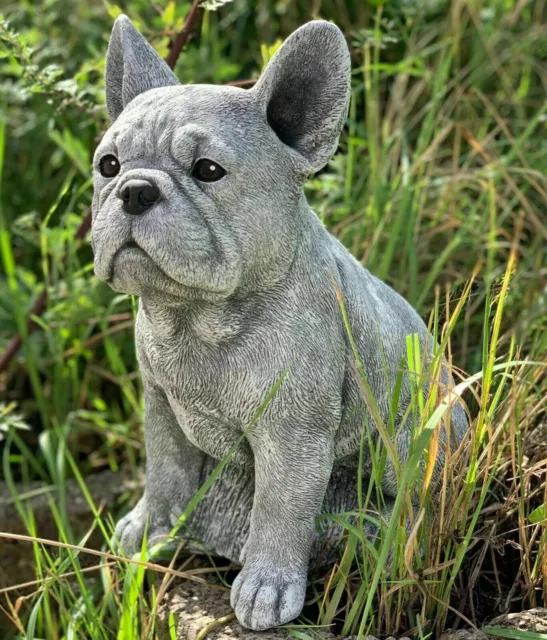 Figura Frenchie Francesa Bulldog Resistente Heladas de Jardín Hormigón Grande