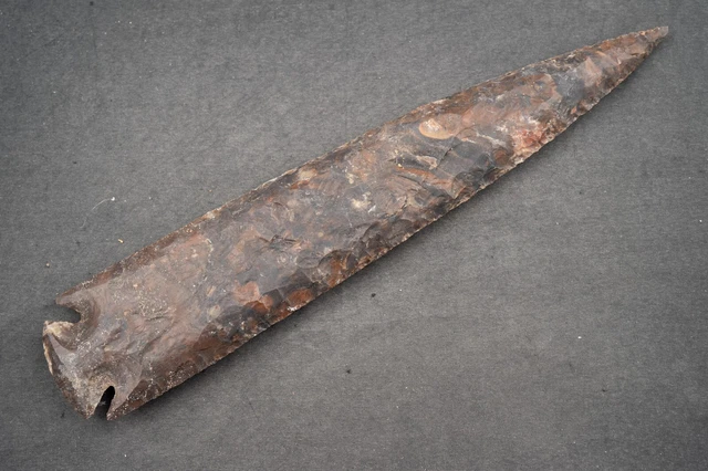 11" Flint Spearhead AMAZING COLOR USA Spear Point Knife Blade Arrowhead 530
