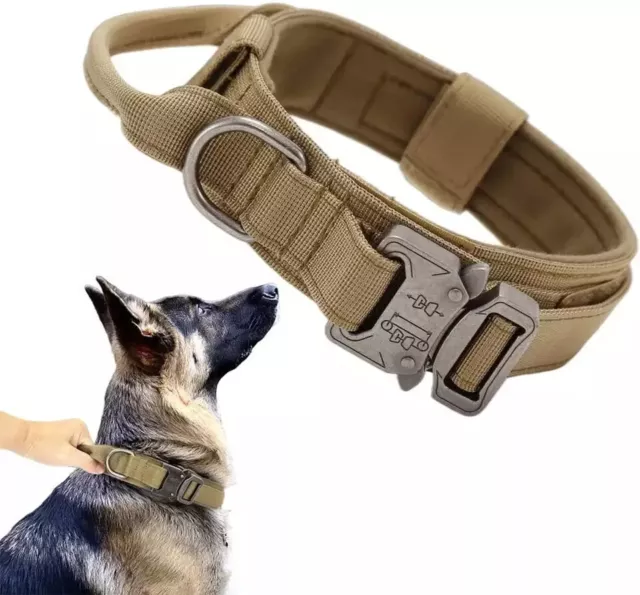 Tactique Chien Col Grand Militaire Entraînement Résistant Métal Boucle Kaki 2 "