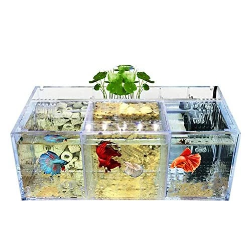 Betta Fish Tank Acrylic Material Mini Desktop Aquarium Goldfish Mini Fish Tan... 2