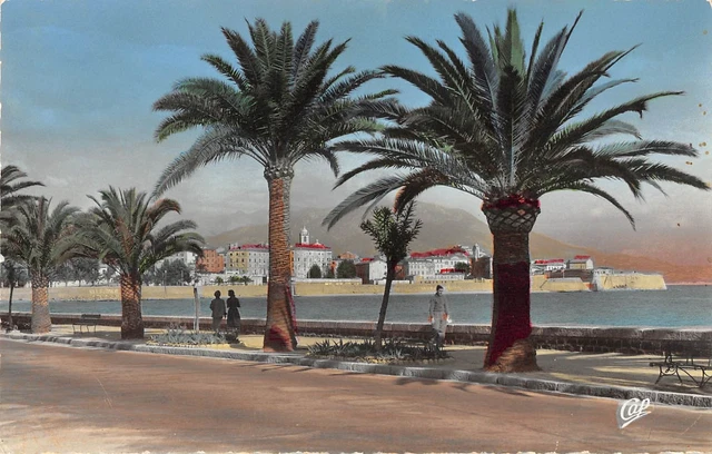 Cpa Ajaccio . La ville et le Golfe 1938