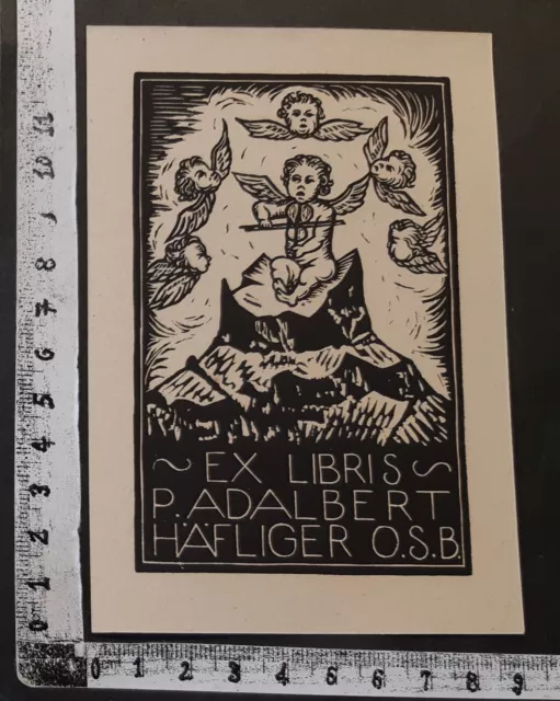 Wunderkammer C Exlibris 602 " Svizzera 1925 " - * Robert Hess * - X