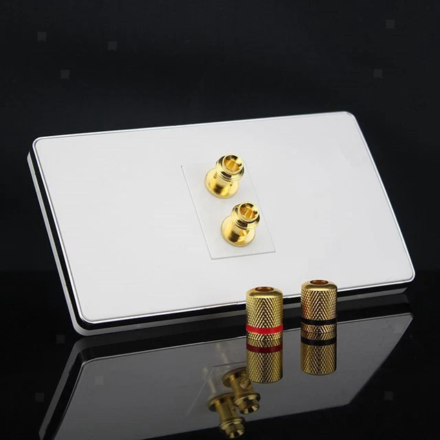 Speaker  Plate Home Theater Wall Plate 2 Gold Binding Posts