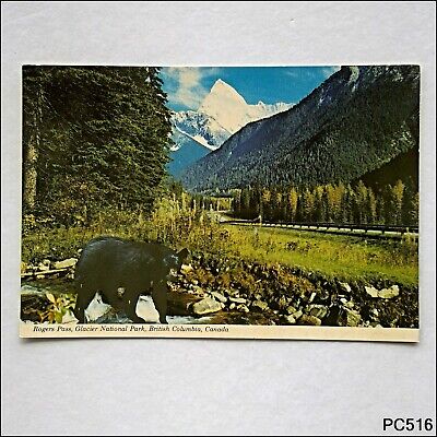 Rogers Pass Glacier National Park B.C. Canada Postcard (P516)
