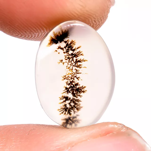 04.00 Cts. Beautiful Scenic Dendritic Agate Oval 13X9X2 MM Cabochon Gemstone