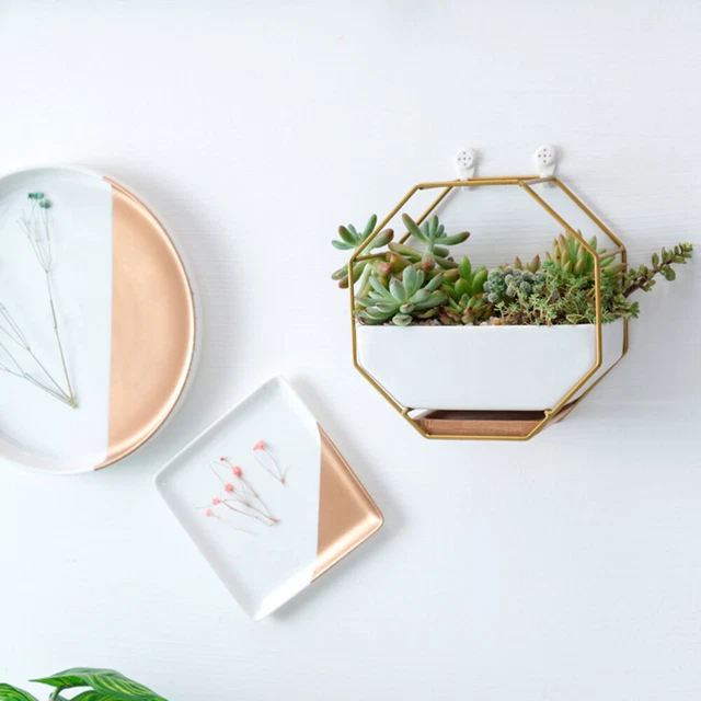 Octagonal Storage Rack Wall Hangings Wall Mounted Planters Flowerpot