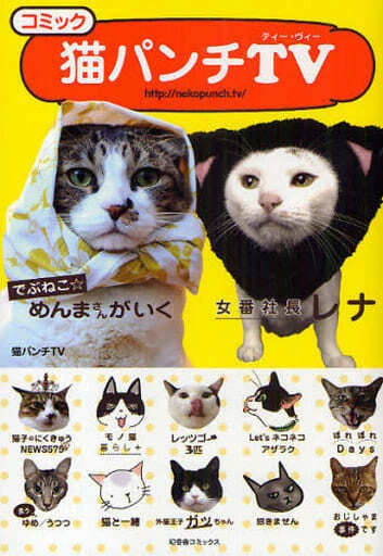 BOOK PRACTICAL MANGA Illustration Children'S Picture Comic Neko Punch ...