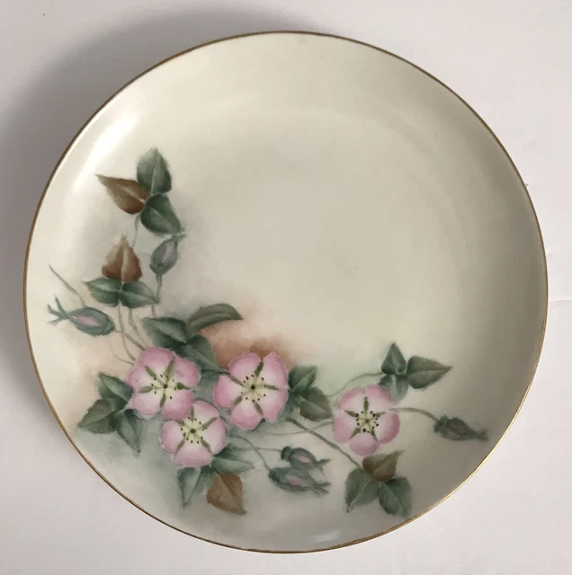 Hand Painted Morning Glory Plate Art by Honey Lee Limoges France Gold Rim G.A.H.