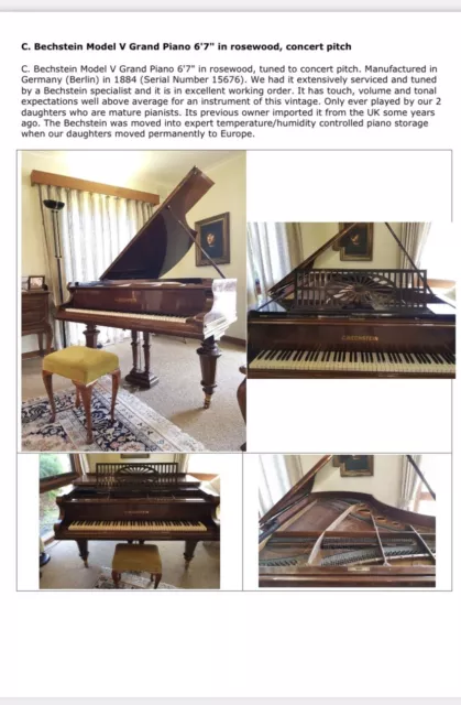 C. Bechstein Model V Grand Piano 6'7" in rosewood, concert pitch