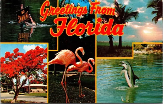 Greetings From Florida FL Flamingos Dolphin Beach Multiview Postcard UNP VTG