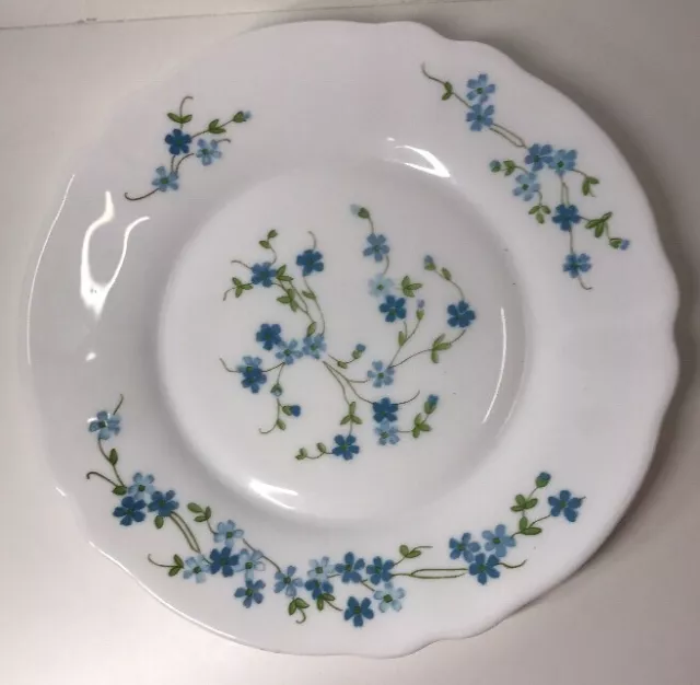 Lot32 De 6 Petites Assiettes Plates Arcopal France D 19,5Cm Fleurs Bleu Myosotis