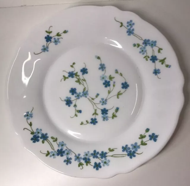 Lot38 De 6 Petites Assiettes Plates Arcopal France D 19,5Cm Fleurs Bleu Myosotis