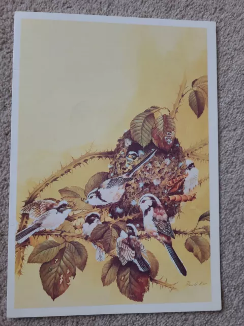 Vintage Canberra Cruise Luncheon Menu Sunday 2Nd Aug 1987 - The Long  Tailed Tit