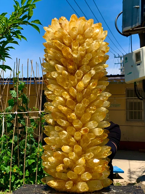 60.45LB  New Find yellow Phantom Quartz Crystal Cluster Mineral Specimen Healing 7