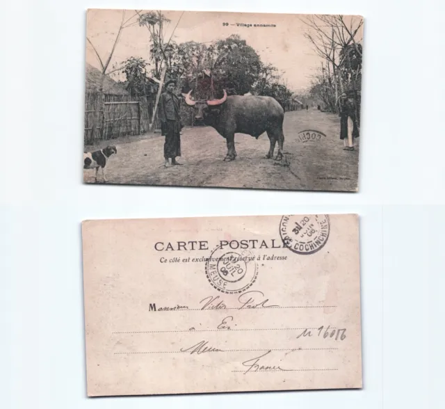 (n16056)   Wasserbüffel 1906   Ansichtskarte Indochina (französisch)