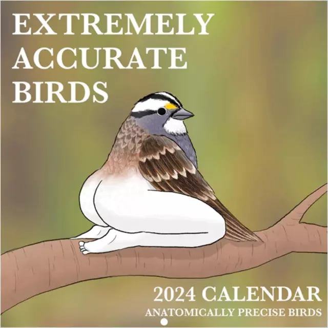 2024 CALENDAR OF Extremely Accurate Birds Funny Birds Wall Calendar